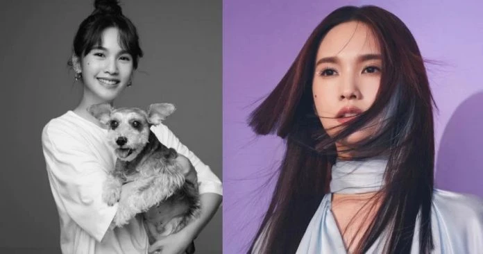 楊丞琳心痛曝愛犬已離世　17年歲月自責做得不夠好：真的好想你