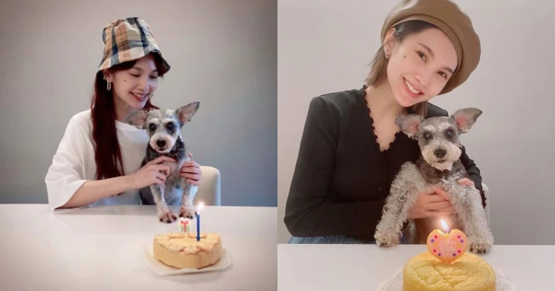 楊丞琳心痛曝愛犬已離世　17年歲月自責做得不夠好：真的好想你