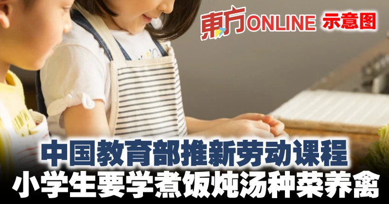 中國教育部推新勞動課程　小學生要學煮飯燉湯種菜養禽