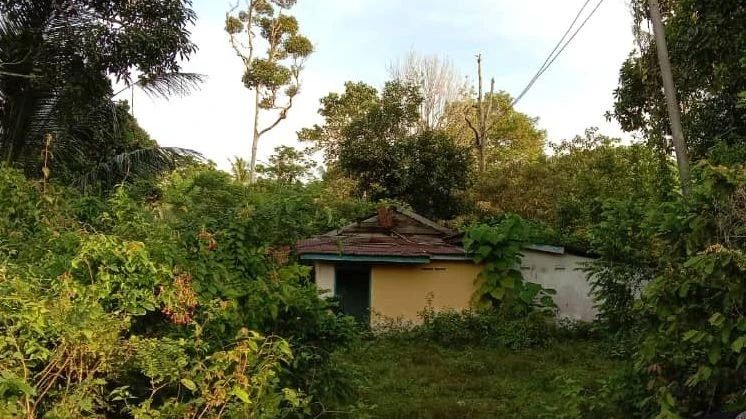 甘榜荒屋驚現腐屍　警方以猝死角度調查