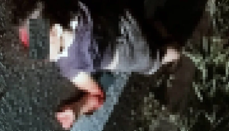 斗湖1女子過馬路   遭轎車撞飛墜地重傷死亡