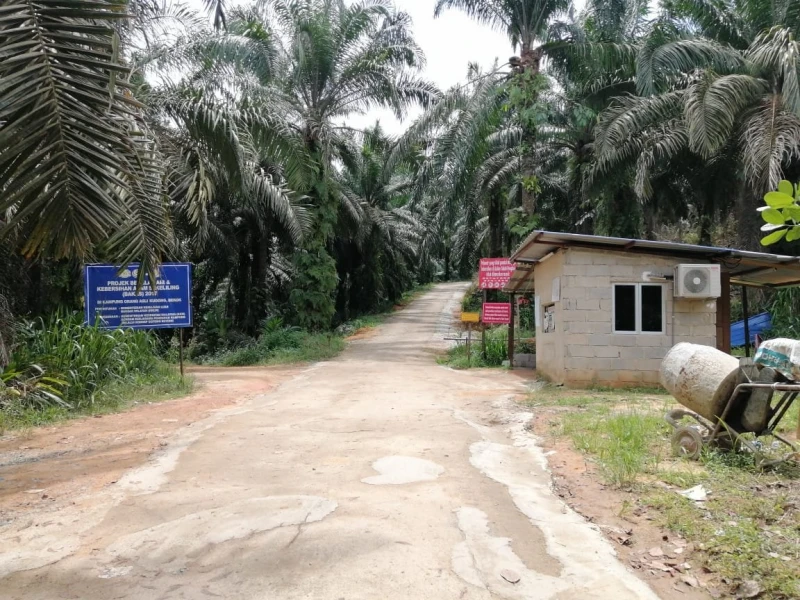 華裔少年瀑布戲水溺斃　父自責沒及時阻止