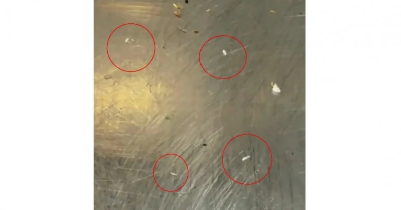 華婦點炸雞驚見「贈」蛆蟲　「嚇死了，幸好拿了還沒吃到」