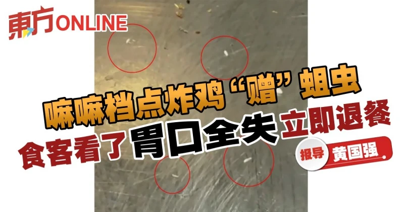 嘛嘛檔點炸雞「贈」蛆蟲　食客看了胃口全失立即退餐