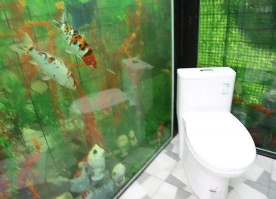 沒有趣只有味？中國一景區推「鞦韆廁所」被罵翻