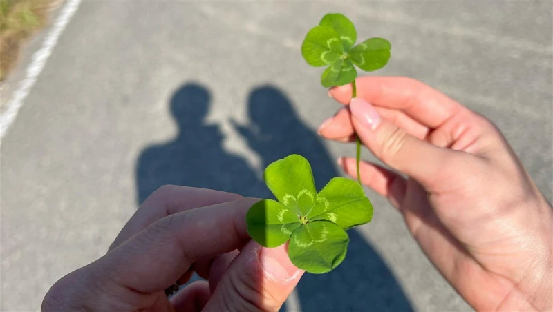 吳業坤深夜突然宣布結婚　太太是日本美女藝人