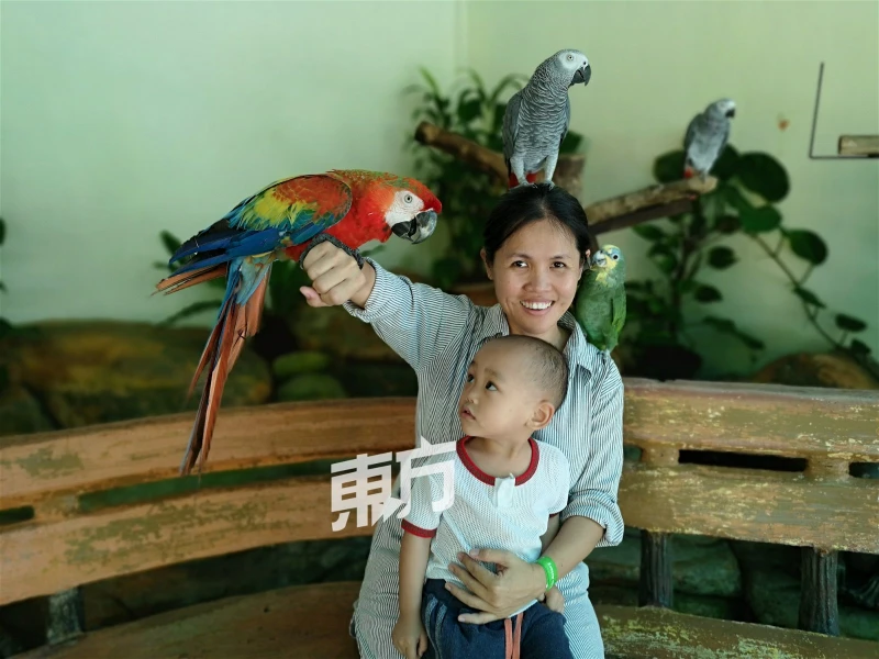 一拖二帶孩子上山下海　陳潔儀：享受與孩子同在的時光