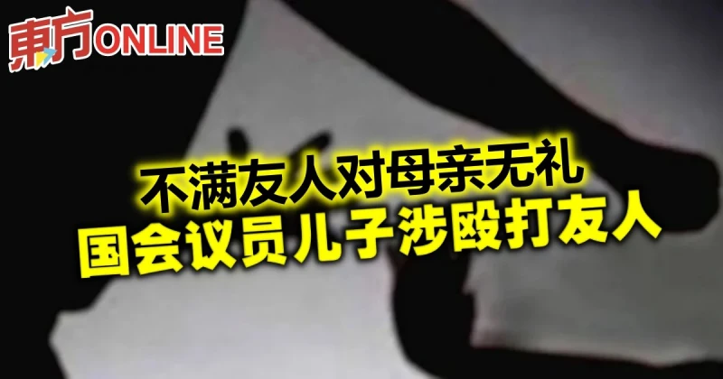 不滿友人對母親無禮　國會議員兒子涉毆打友人