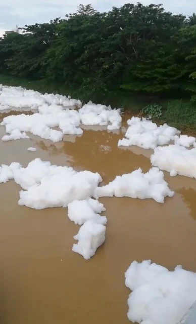 士姑來河疑水源污染  厚厚一層泡沫蓋住河面