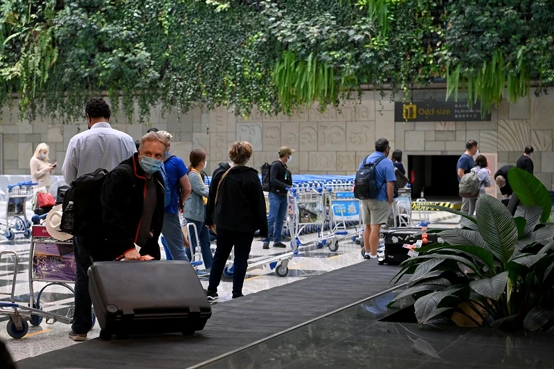 我國放寬邊境管控後，醫療旅遊訪客開始大量回流