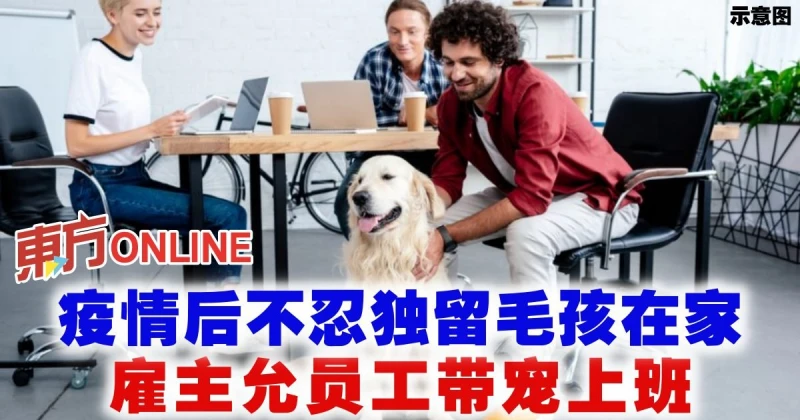 疫情後不忍獨留毛孩在家　僱主允員工帶寵上班