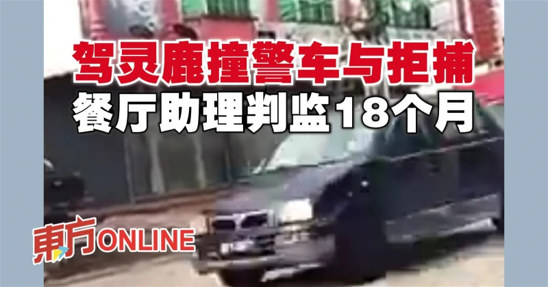 駕靈鹿撞警車與拒捕　餐廳助理判監18個月