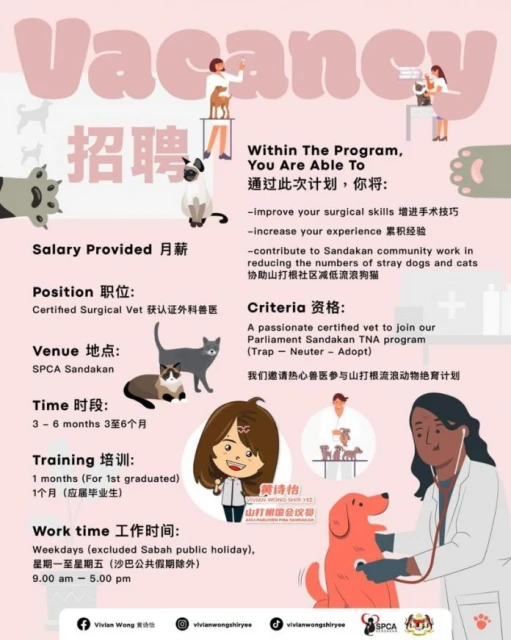 黃詩怡將與山打根防虐待動物協會 聯合推出「流浪狗絕育計劃」