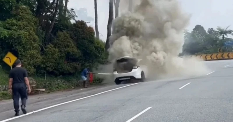 雲頂半山車輛著火倒退 車內一家五口及時逃生無人傷亡