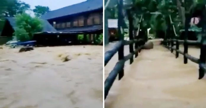 今早一場暴雨 文冬貞德拜淹水!