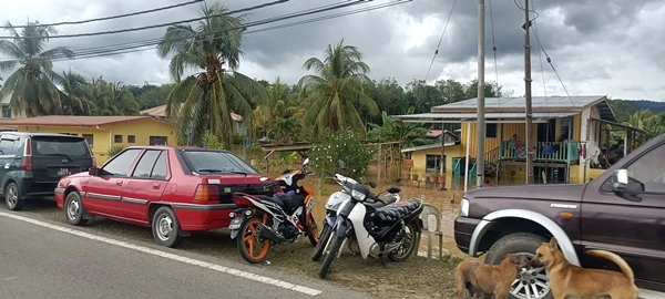 丹南低洼區豪雨成災 金馬旺水深2米
