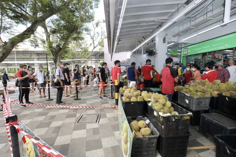 有錢也吃不到？　馬國雨季導致榴槤產量減八成榴槤季或延遲