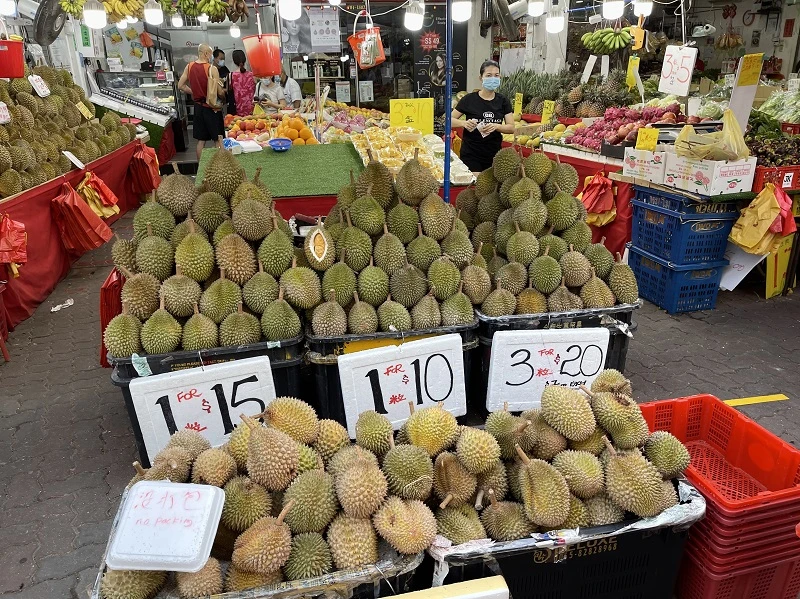 有錢也吃不到？　馬國雨季導致榴槤產量減八成榴槤季或延遲