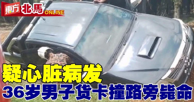 疑心臟病發　36歲男子貨卡撞路旁斃命