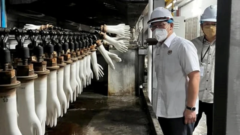 大馬手套去年出口總值突破548億