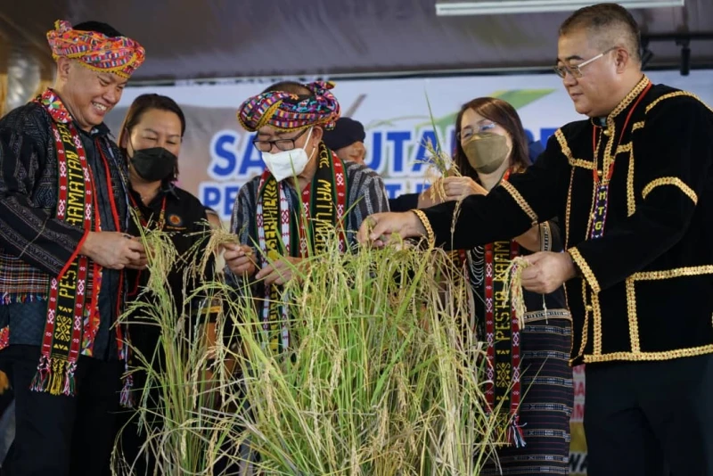 麥西慕建議建立專門機構 保存本州原住民母語
