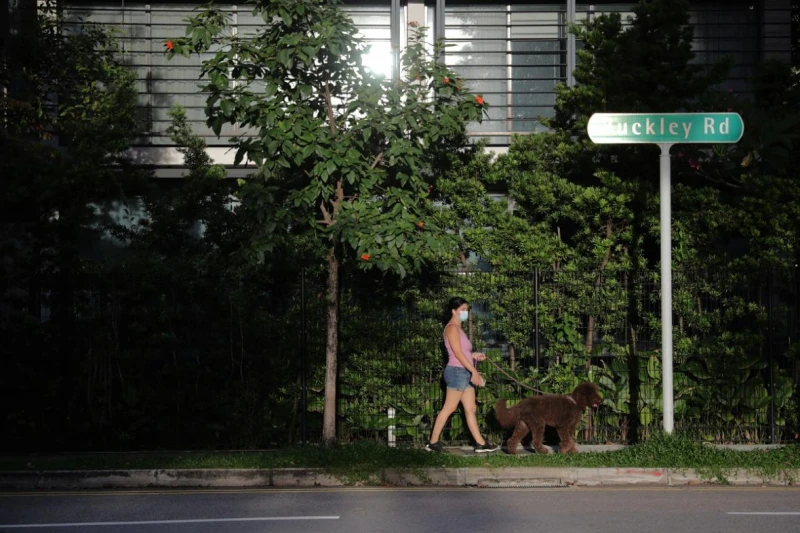 防疫放寬後不再寂寞就遺棄忠實夥伴？　多國出現棄養寵物現象