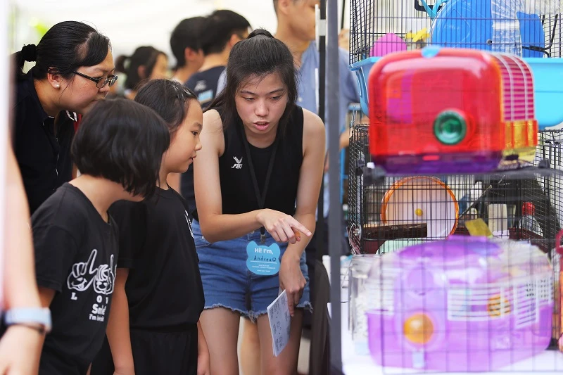 防疫放寬後不再寂寞就遺棄忠實夥伴？　多國出現棄養寵物現象