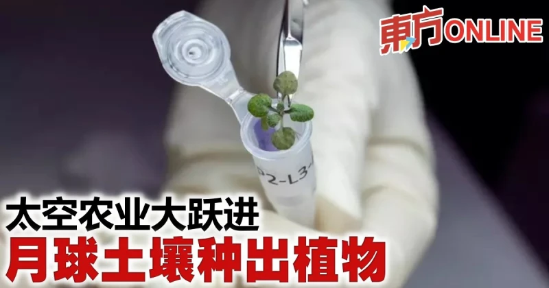 太空農業大躍進　月球土壤種出植物 