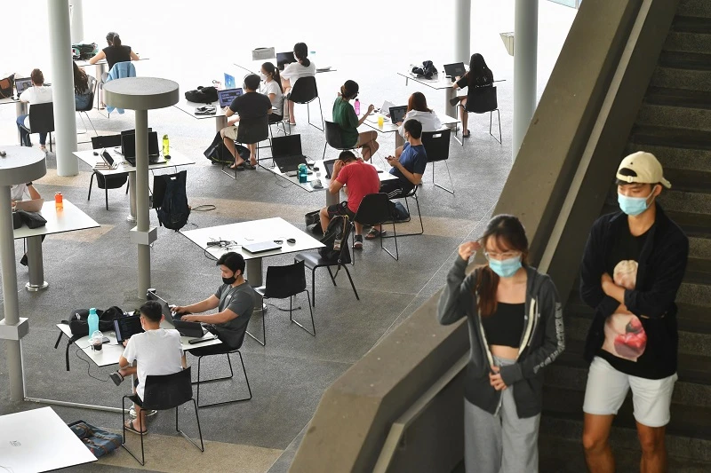 疫情期間轉為網上教學與考試　代考代寫論文的「影子寫手」生意興隆