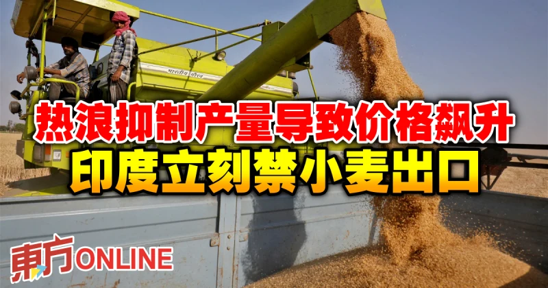 熱浪抑制產量導致價格飆升　印度立刻禁小麥出口