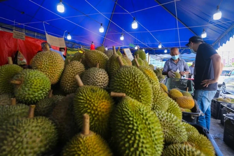 今年要吃貴榴槤了 貓山王黑刺料翻倍漲價