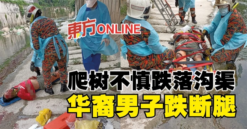 爬樹不慎跌落溝渠　華裔男子跌斷腿