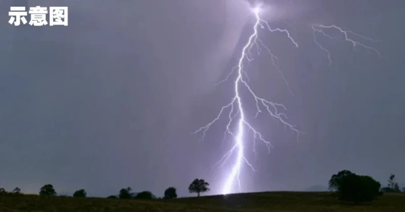 20華裔男女登山露營　營地遭雷擊數人抽筋發麻
