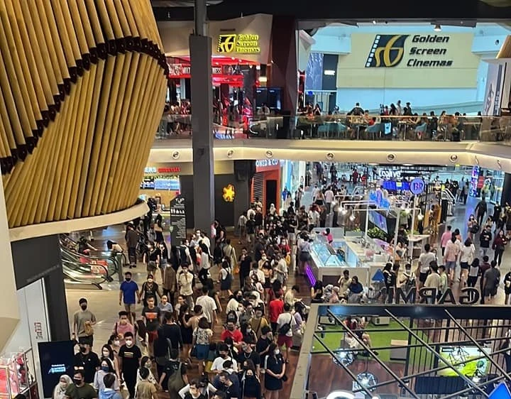 「回來了，全部回來了！」隆雪商場因動漫展、寵物展塞滿人