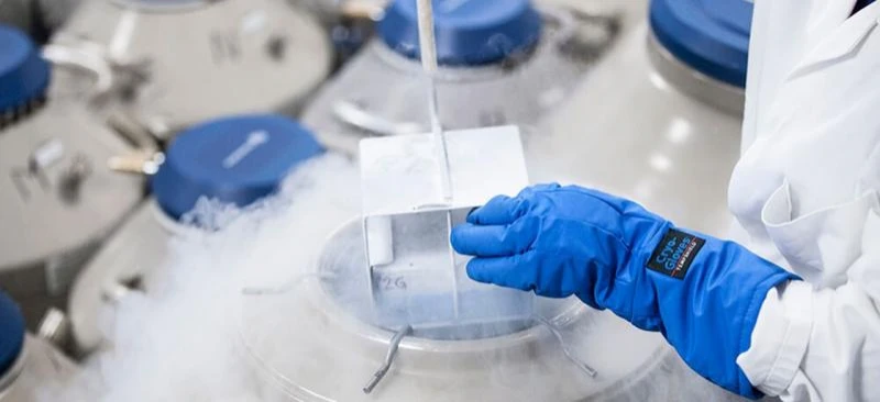 我國將允許21至35歲已婚或單身女性凍卵，卻設下兩大限制引熱議