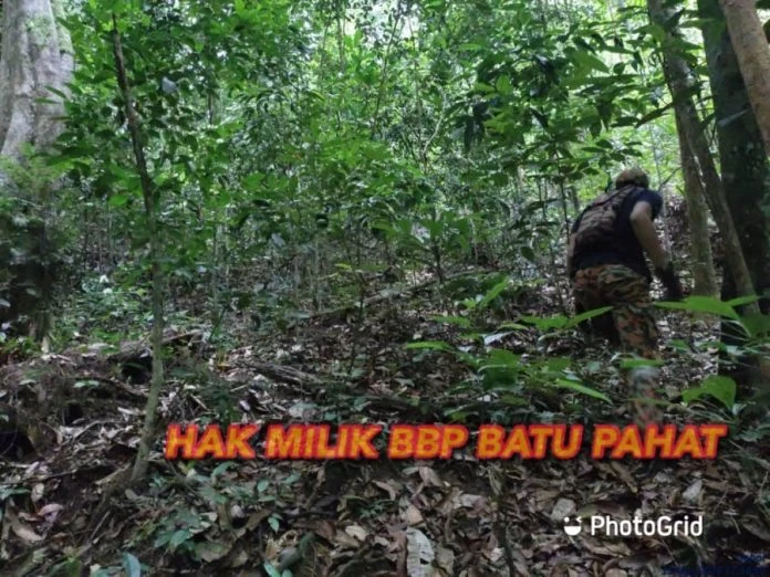 華男電台山迷路疑涉擅闖森林保留地 柔州森林局展開調查