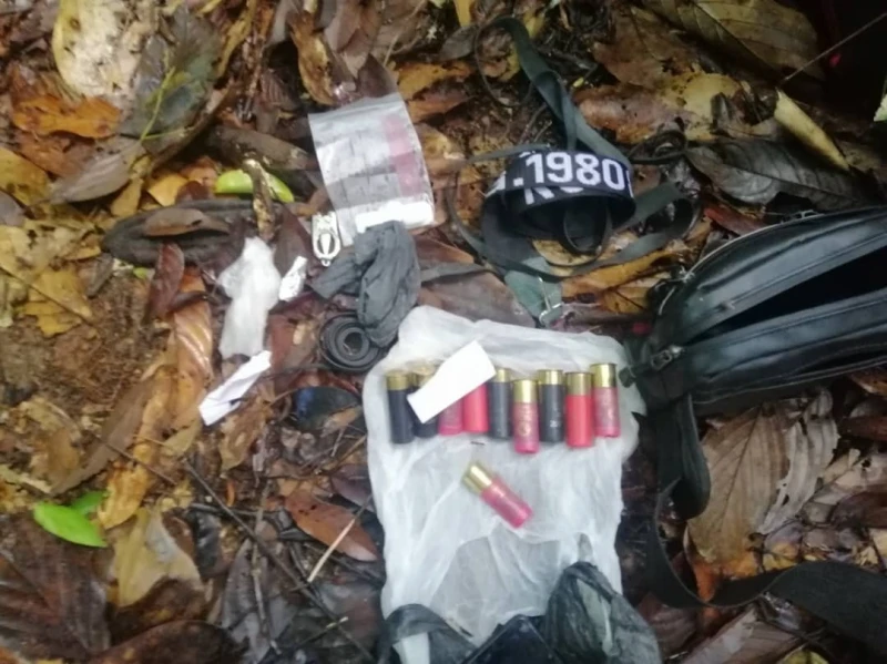 擁槍非法狩獵　沙巴森林局逮4本地男