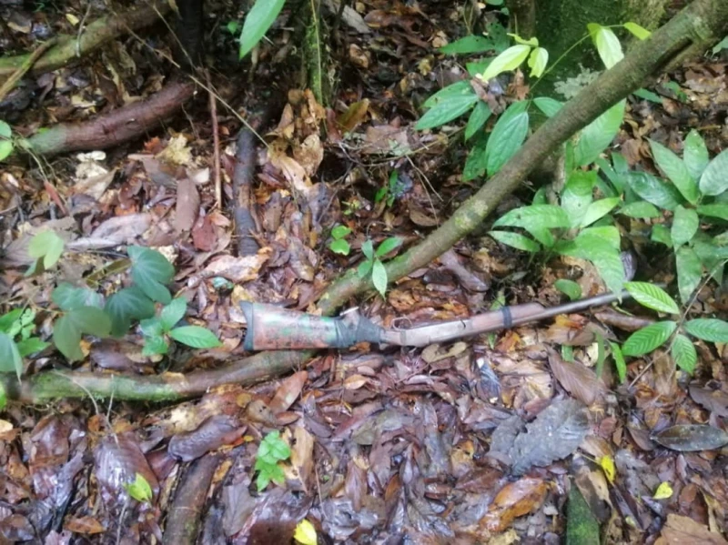 擁槍非法狩獵　沙巴森林局逮4本地男