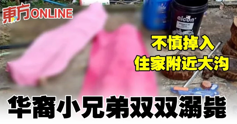 掉入住家附近大溝　華裔小兄弟雙雙溺斃