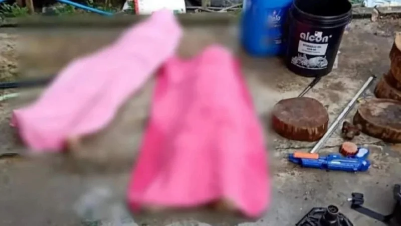 華裔小兄弟掉入大溝溺斃　母親哭訴一年內痛失丈夫兒子