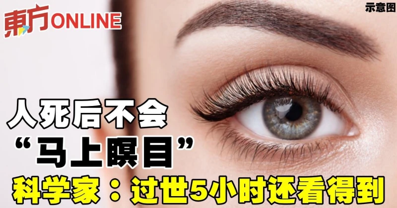 人死後不會「馬上瞑目」　科學家：過世5小時還看得到