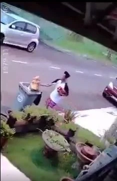 男子將象頭神雕像丟垃圾桶　警方開檔調查