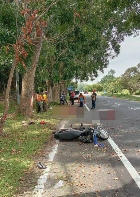 無駕照少年撞死2割草工人　少年控危駕否認罪名