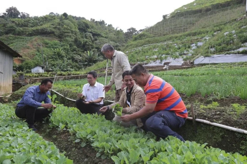 入口准證僅涉5食品　沈志勤：無法解決糧食成本高漲問題