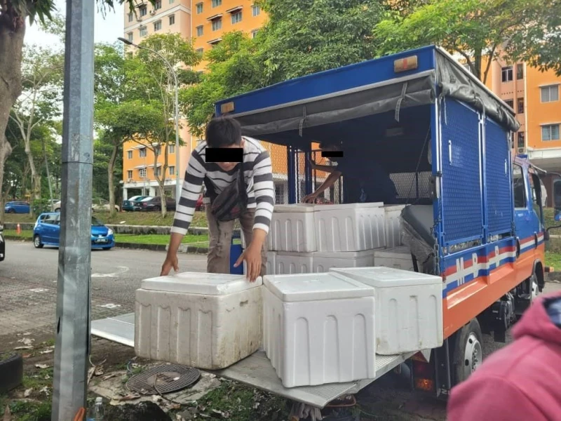 3印尼男子非法兜售水果被捕　警起獲藏後巷12箱腌制水果