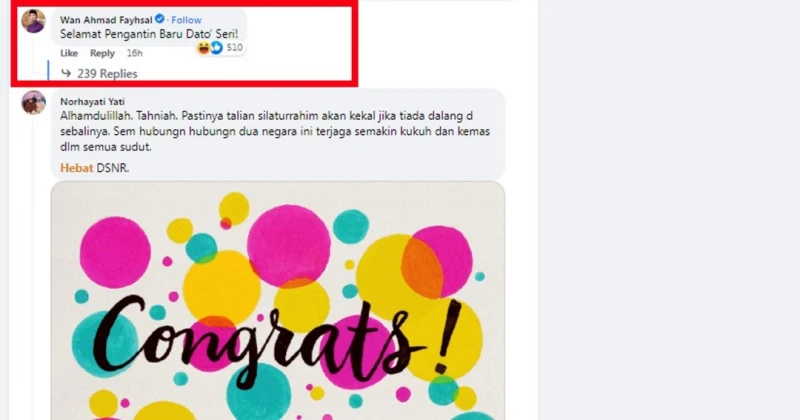 網絡瘋傳親密挽手照　副部長祝賀納吉再婚