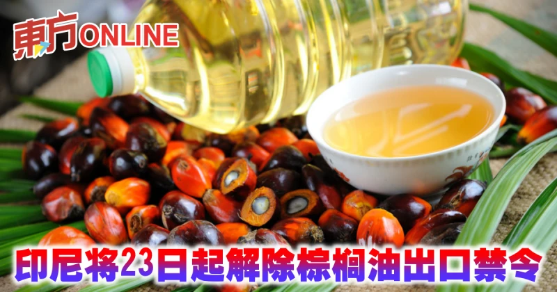 印尼將5月23日起解除棕櫚油出口禁令