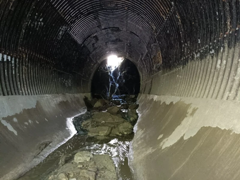 搜尋隊劃5區搜索  出動救生艇獨木舟