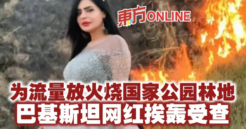 為流量放火燒國家公園林地　巴基斯坦網紅挨轟受查