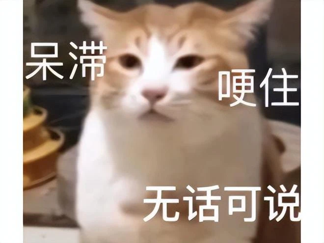 魔獸硬核模式好玩?外服公會挑戰一命通關,被內鬼坑到團滅刪號